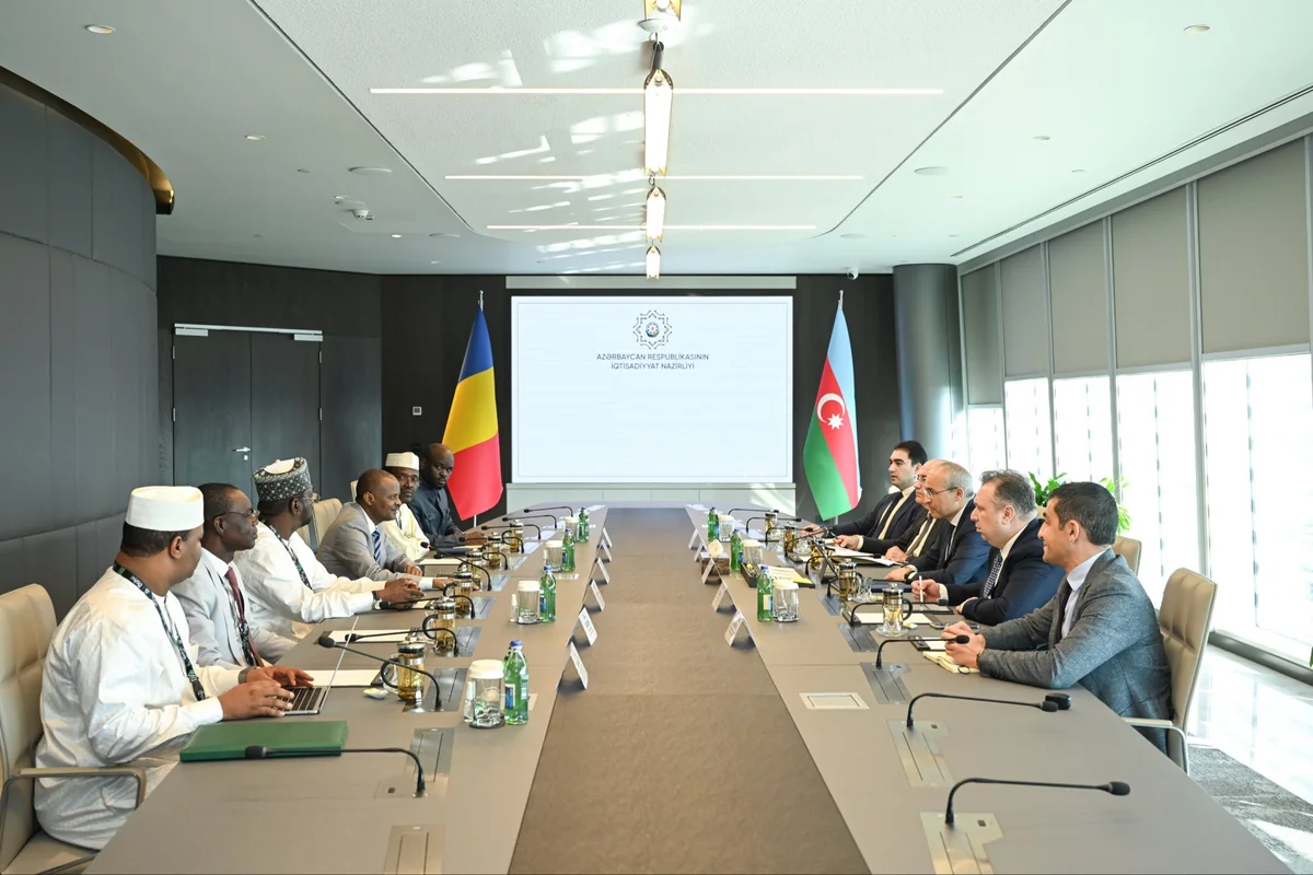 Azerbaijan, Chad discuss cooperation potential