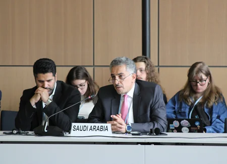 Leyla Aliyeva participates in Bonn discussion on environmental impact of Caspian Sea's declining water level