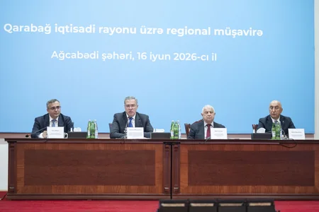 Ağcabədidə aqrar sahədə yeni Dövlət Proqramı ilə bağlı regional müşavirə keçirilib