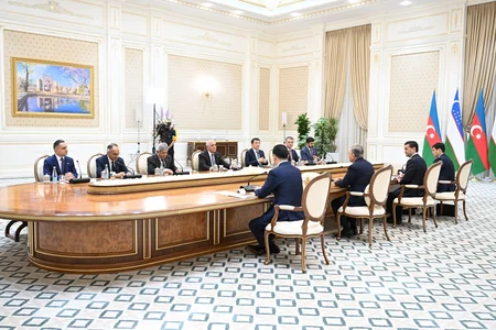 Əli Əsədov Özbəkistan Prezidenti ilə görüşüb