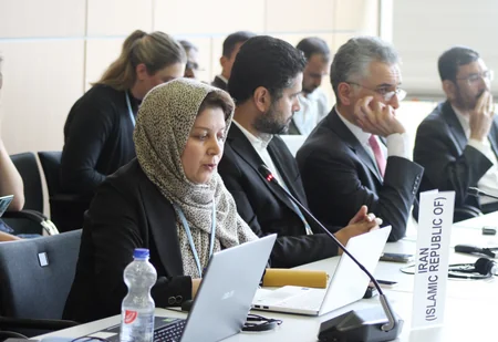 Leyla Aliyeva participates in Bonn discussion on environmental impact of Caspian Sea's declining water level