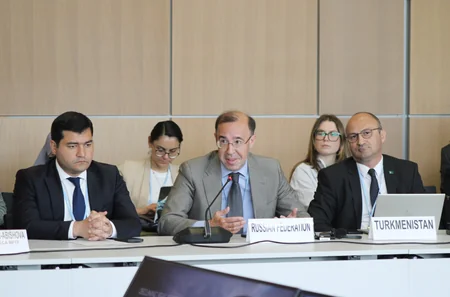 Leyla Aliyeva participates in Bonn discussion on environmental impact of Caspian Sea's declining water level