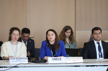Leyla Aliyeva participates in Bonn discussion on environmental impact of Caspian Sea's declining water level