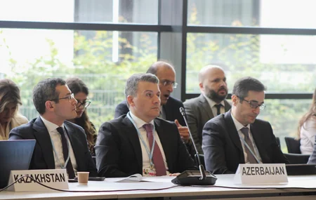 Leyla Aliyeva participates in Bonn discussion on environmental impact of Caspian Sea's declining water level