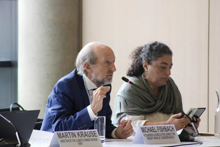 Leyla Aliyeva participates in Bonn discussion on environmental impact of Caspian Sea's declining water level