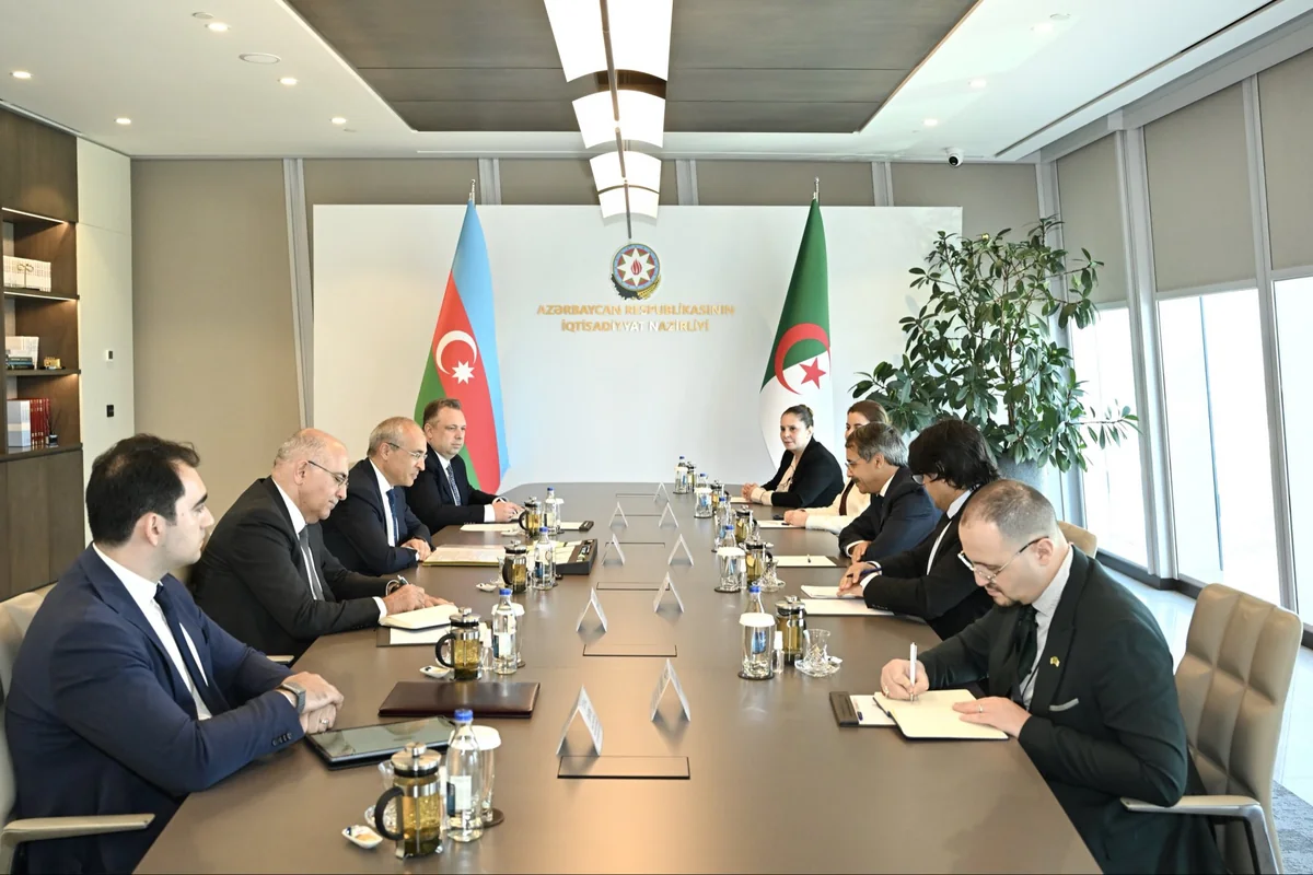 Azerbaijan, Algeria discuss cooperation in energy, logistics