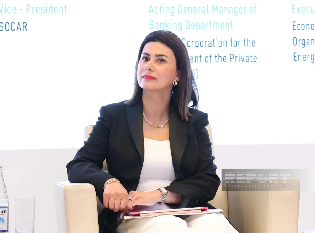 Aysel Yagubova: Regional cooperation is key factor in Azerbaijan's energy transition