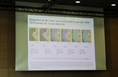 Leyla Aliyeva participates in Bonn discussion on environmental impact of Caspian Sea's declining water level