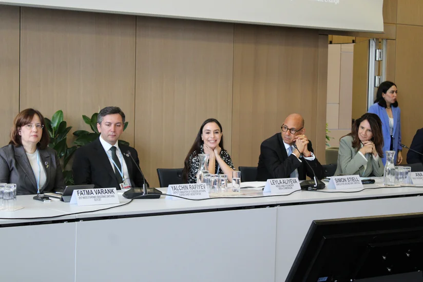Leyla Aliyeva participates in Bonn discussion on environmental impact of Caspian Sea's declining water level
