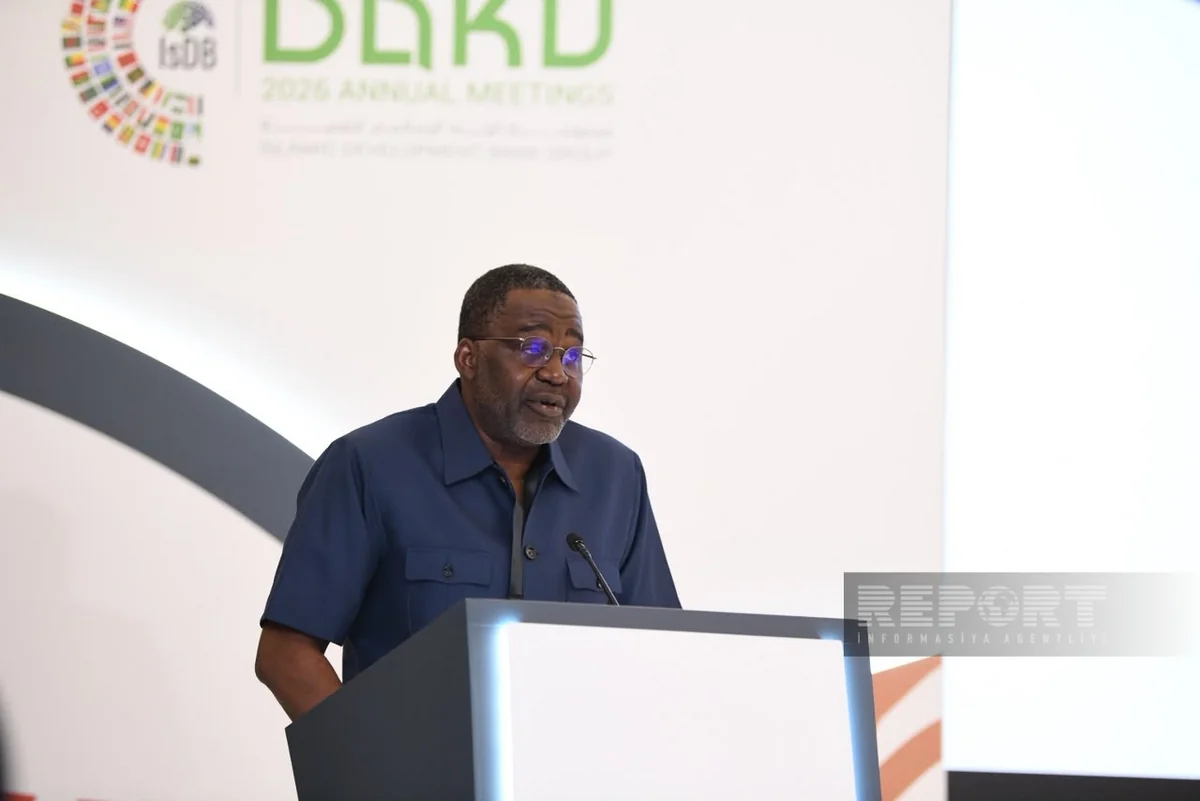 Nigerian official: Halal economy offers major opportunities for developing countries
