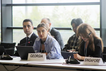 Leyla Aliyeva participates in Bonn discussion on environmental impact of Caspian Sea's declining water level