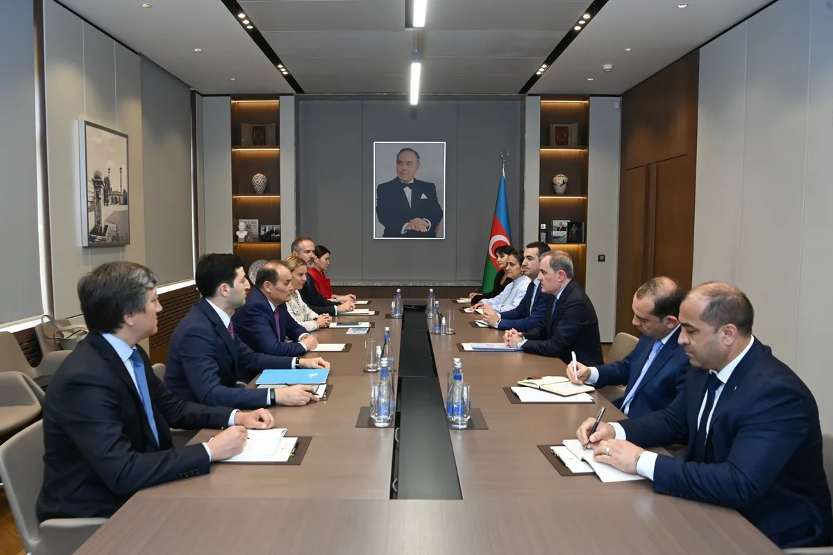 Azerbaijani FM receives Turkic Investment Fund president