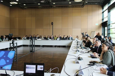 Leyla Aliyeva participates in Bonn discussion on environmental impact of Caspian Sea's declining water level