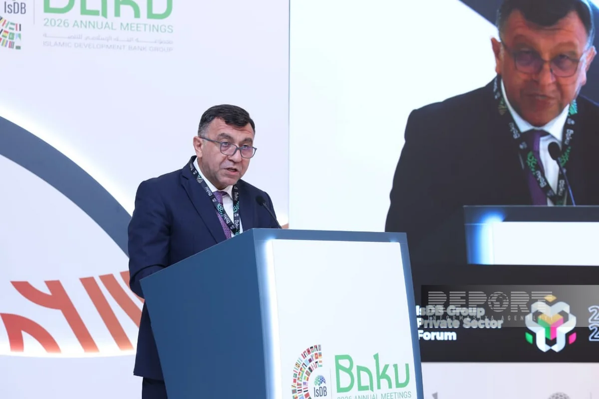 Samad Bashirli: Azerbaijan has become one of key trade hubs of Middle Corridor