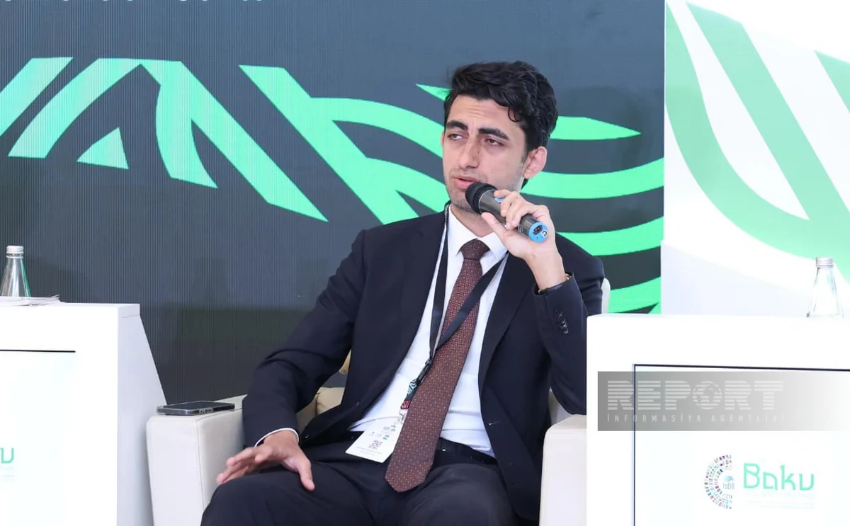 Mahmudzada: Azerbaijani banks can direct about AZN20 billion into economy