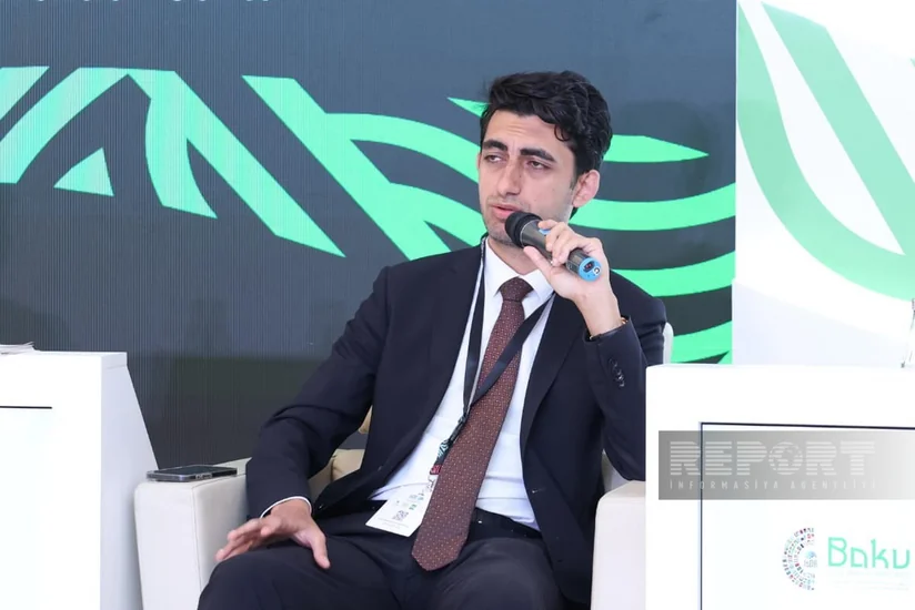 Şahin Mahmudzadə: Bankların iqtisadiyyata yönəldə biləcəyi 20 milyard manat sərbəst vəsaiti var