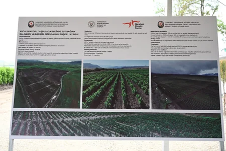 Infrastructure created for sericulture development inspected in Dashbulag village of Khojaly
