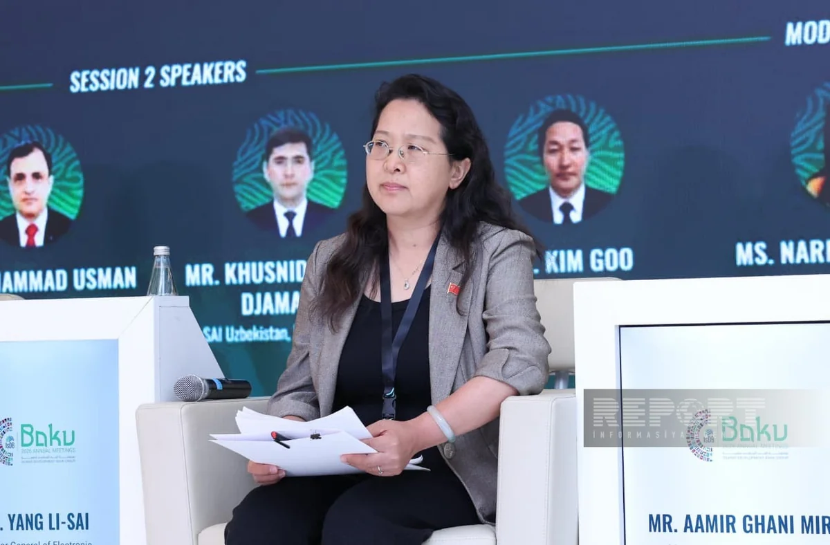 Chinas audit office develops app using AI in seven days