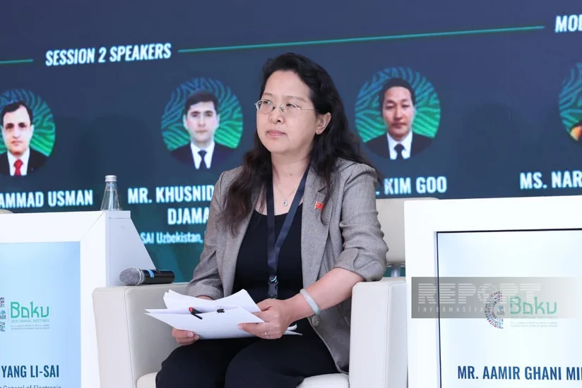 Chinas audit office develops app using AI in seven days