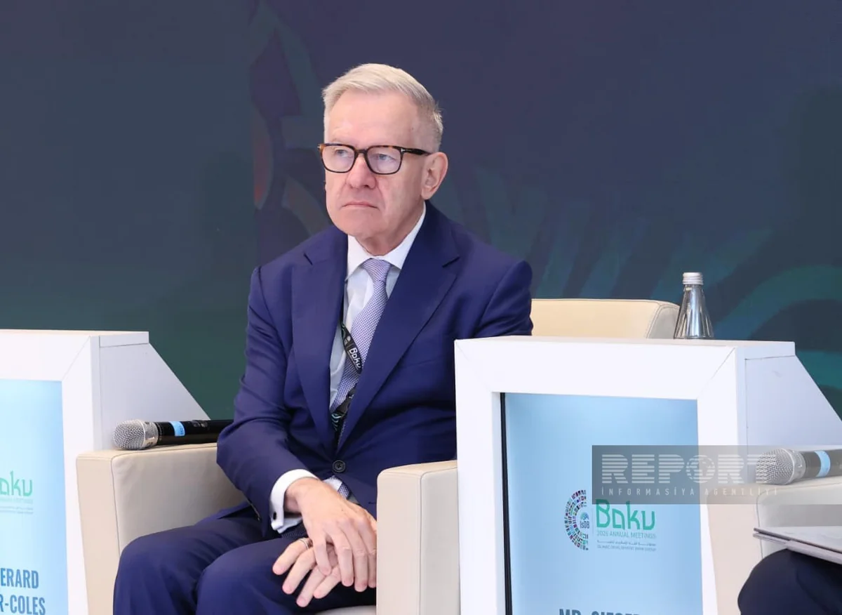 Cowper-Coles: AIIB increasing investments in cross-border energy infrastructure