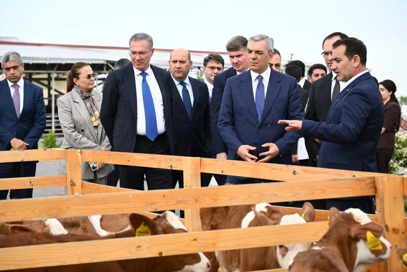 Participants of Coordination Headquarters meeting visit 'Goch Et' Livestock Complex in Khojaly