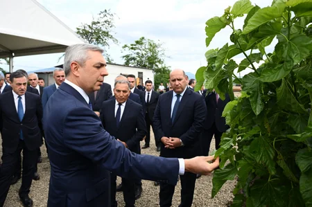 Infrastructure created for sericulture development inspected in Dashbulag village of Khojaly