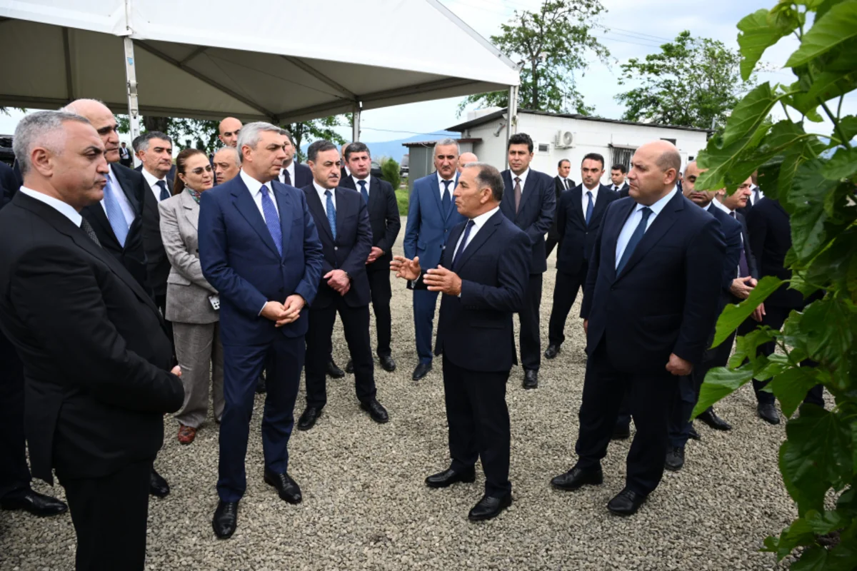 Infrastructure created for sericulture development inspected in Dashbulag village of Khojaly