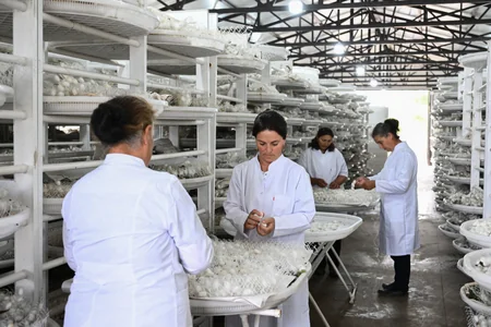 Infrastructure created for sericulture development inspected in Dashbulag village of Khojaly