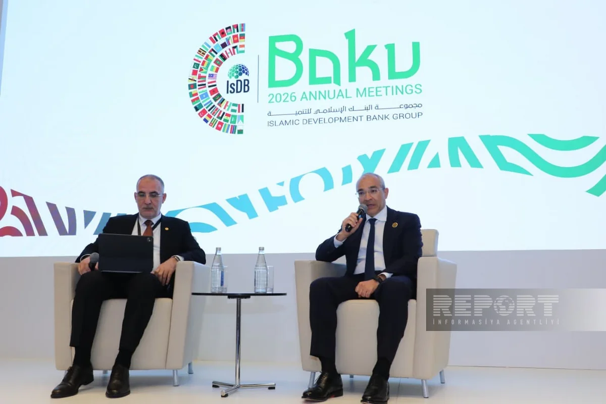 Mikayil Jabbarov: Peace in region has significantly contributed to economic diversification