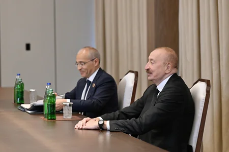 Ильхам Алиев принял руководителей структур-членов Арабской координационной группы