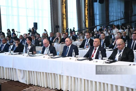 Ombudsmanların Beynəlxalq Bakı Sammiti başlayıb