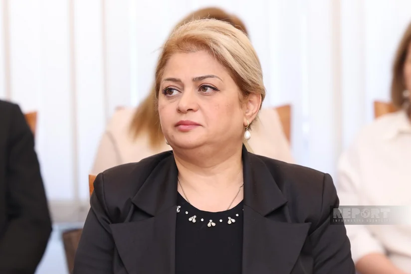 Psixoloqlarla bağlı növbəti qanunvericilik təşəbbüsü olacaq