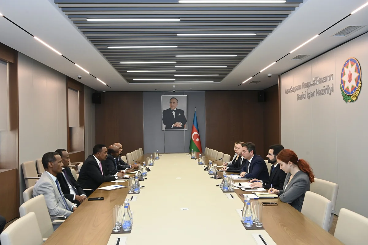 Azerbaijan, IGAD discuss expanding cooperation with African countries