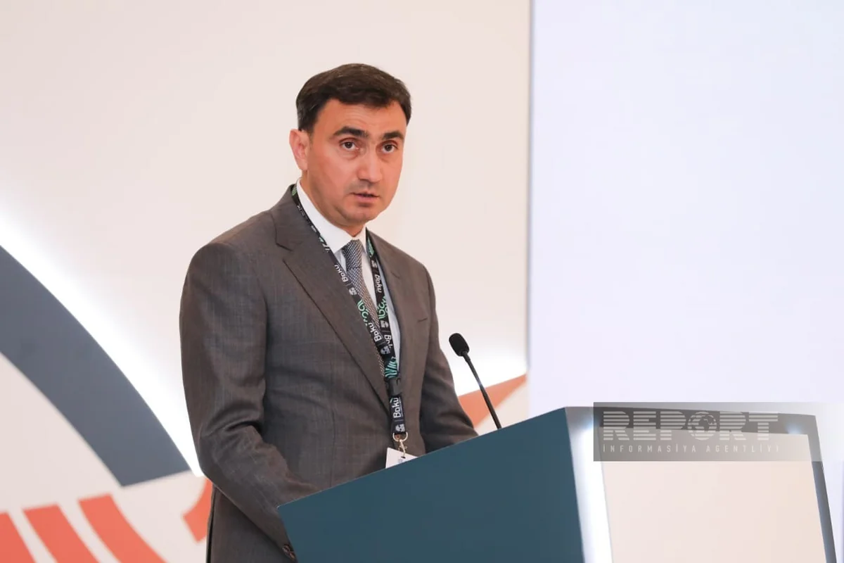 Azerbaijan forming working groups with Caspian states to address falling Caspian Sea level