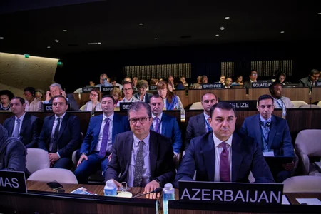 Azerbaijan's activities in intangible heritage protection presented at UNESCO session