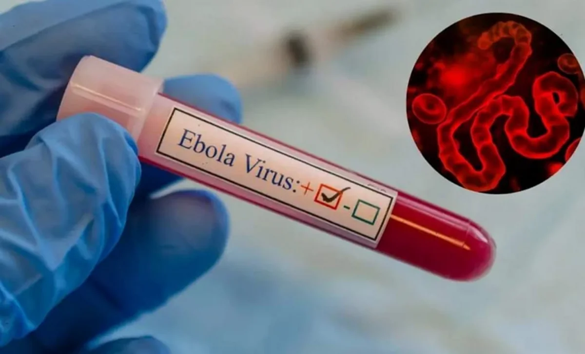 WHO accelerates development of vaccine against new Ebola strain