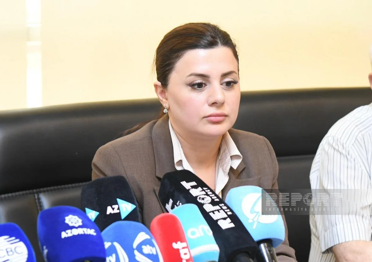 Azerbaijani MP: Armenia must control mining in border areas