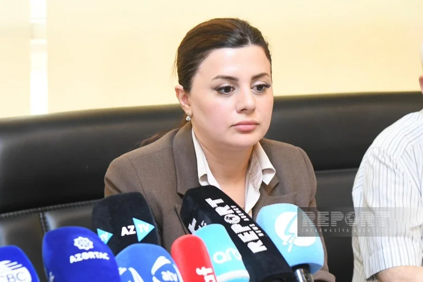 Azerbaijani MP: Armenia must control mining in border areas