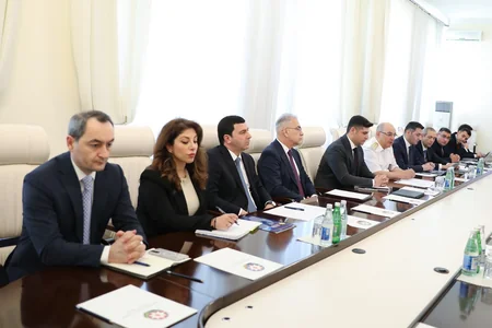 Dövlət Gömrük Komitəsinə tibb vasitələri reyestrinə giriş imkanının yaradılması təklif edilib