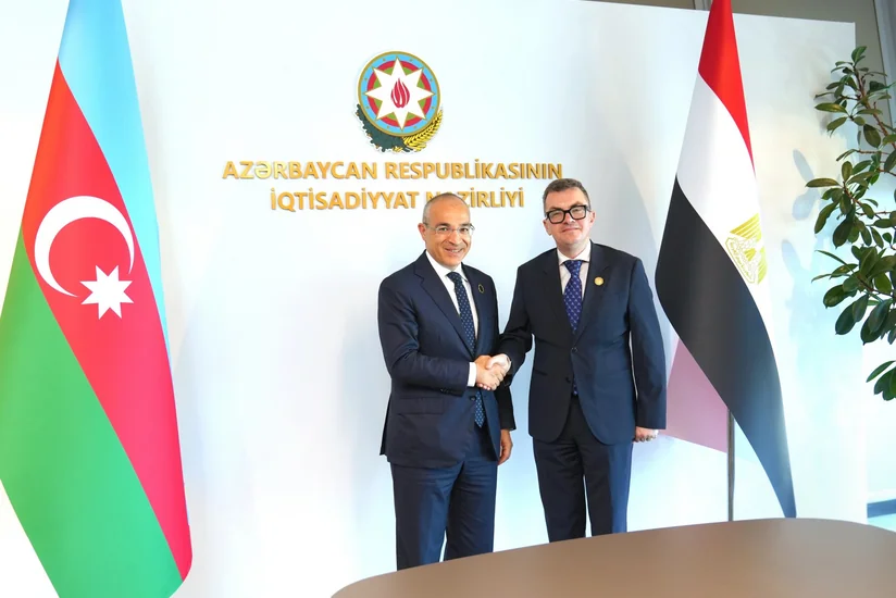 Azerbaijan, Egypt discuss establishing business platforms