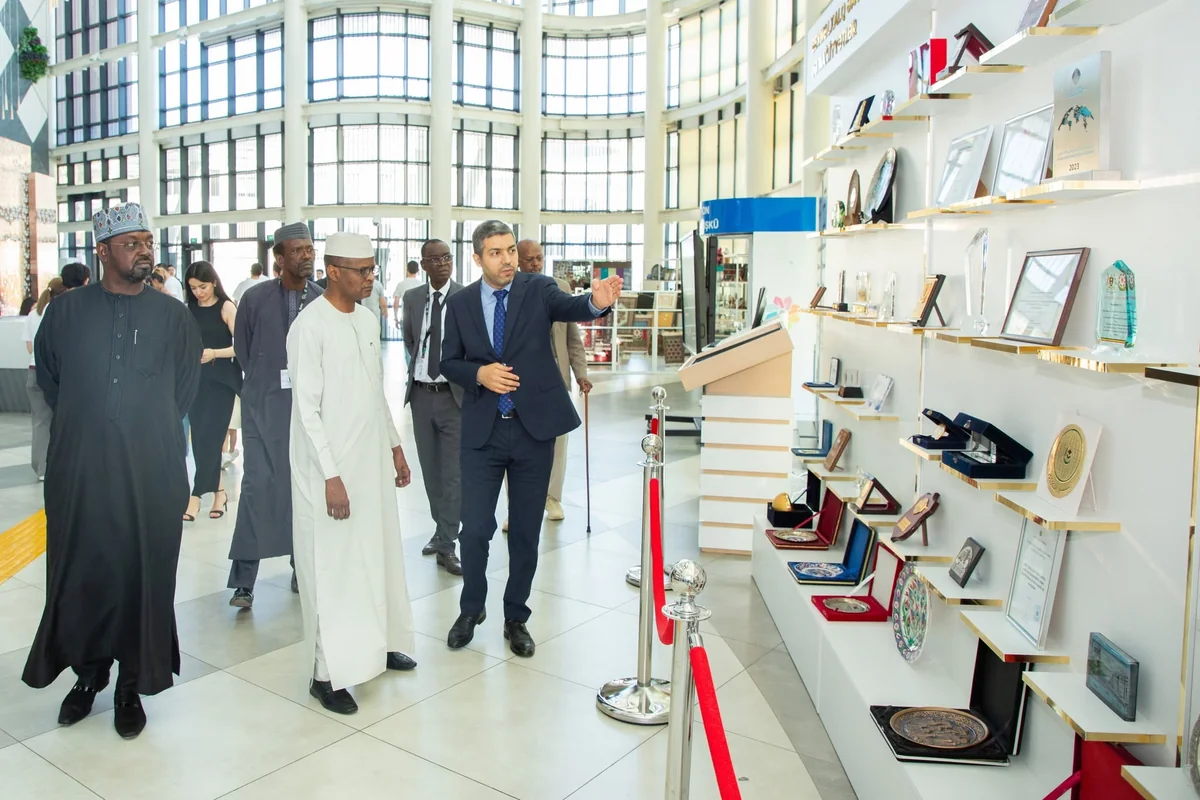 Chad interested in applying Azerbaijan's ASAN Service model
