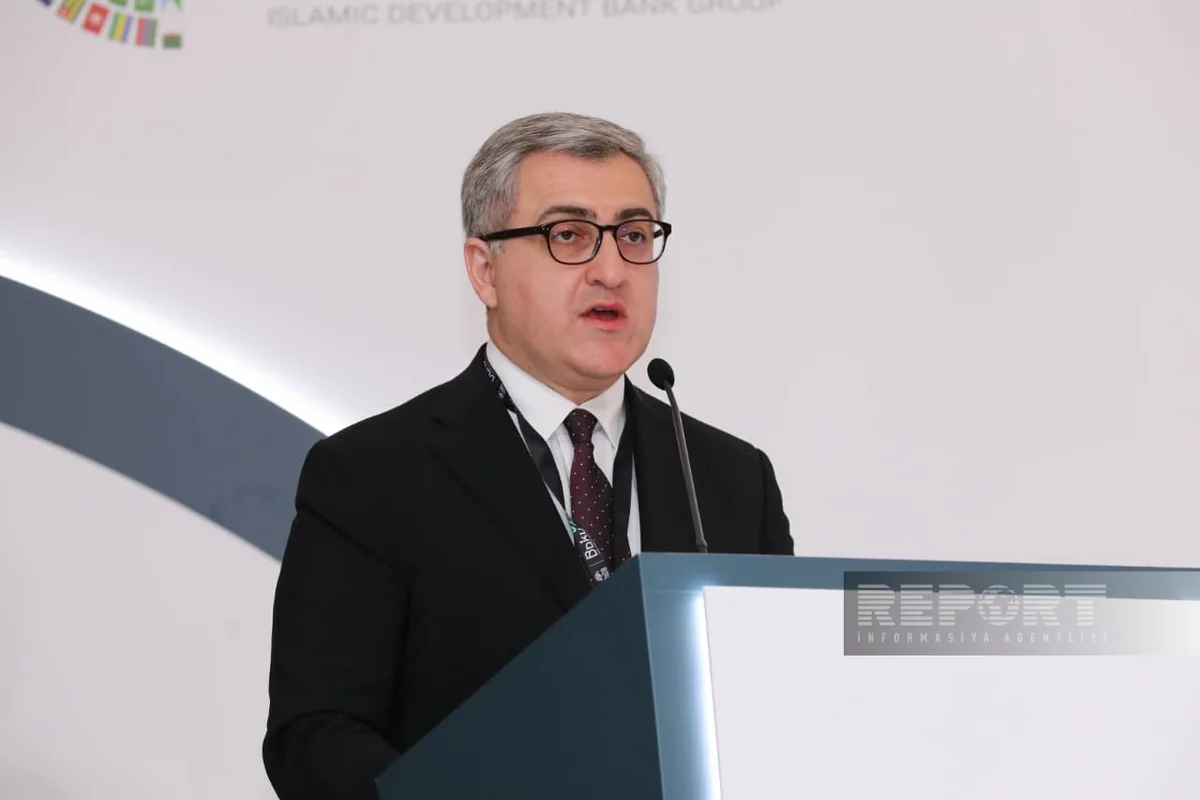 AZPROMO: Over $5B invested in Azerbaijan's industrial zones