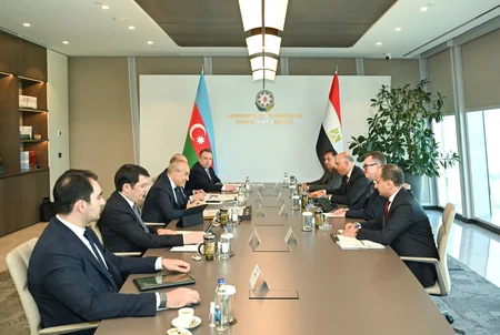 Azərbaycan Misirlə qarşılıqlı biznes platforma formalaşdırmağı müzakirə edib