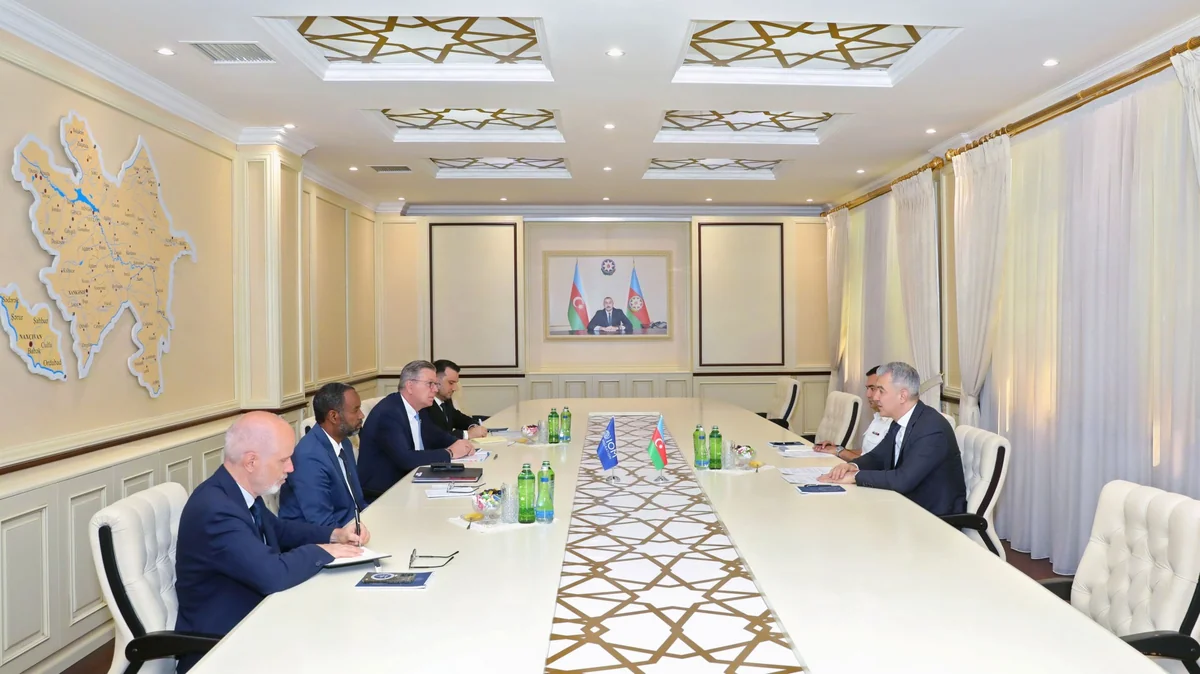 Azerbaijan, IOM discuss migration cooperation