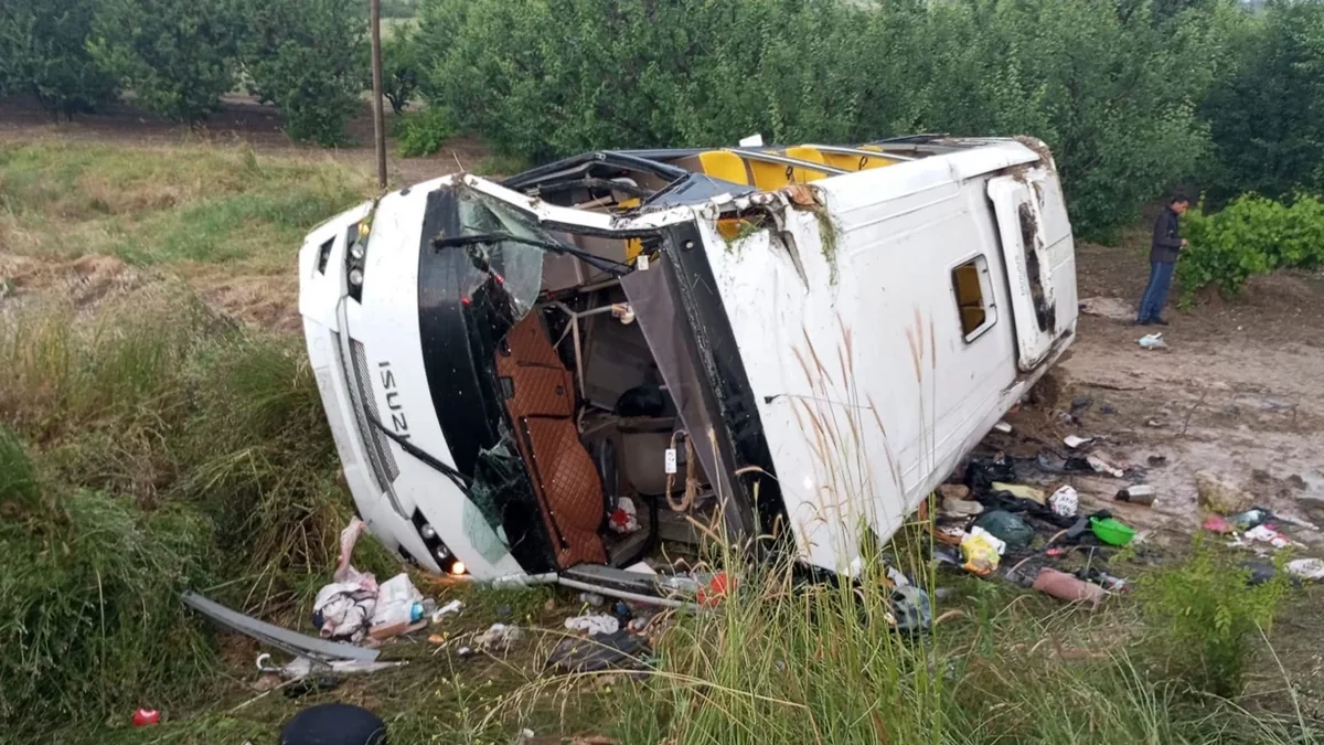 Four killed, dozens injured in minibus crash in Türkiye