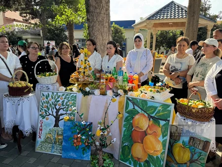 Samuxda III Ərik Festivalı və Aqrar Biznes Festivalı keçirilir