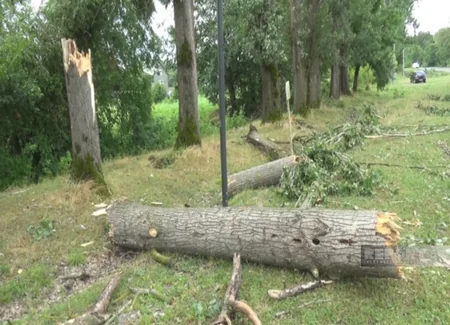 В Загатальском районе сильный ветер нанес ущерб нескольким селам