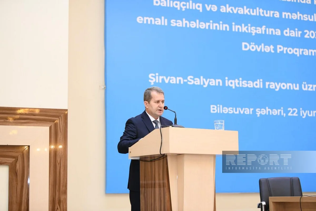 Azerbaijan's cotton sector prioritizes yield growth over expanded acreage