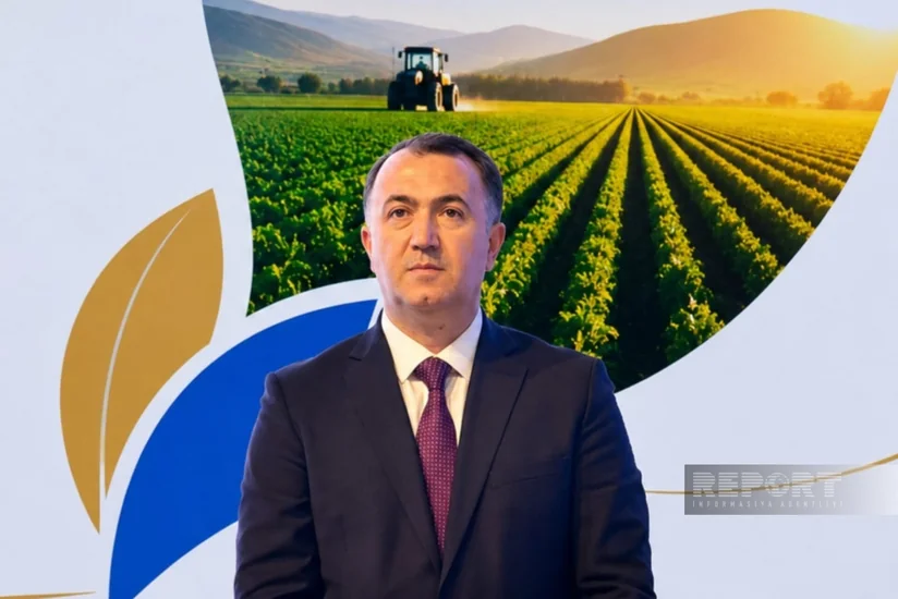 Şərur Rayon İcra Hakimiyyətinin başçısı rayondakı aqrar göstəriciləri açıqlayıb