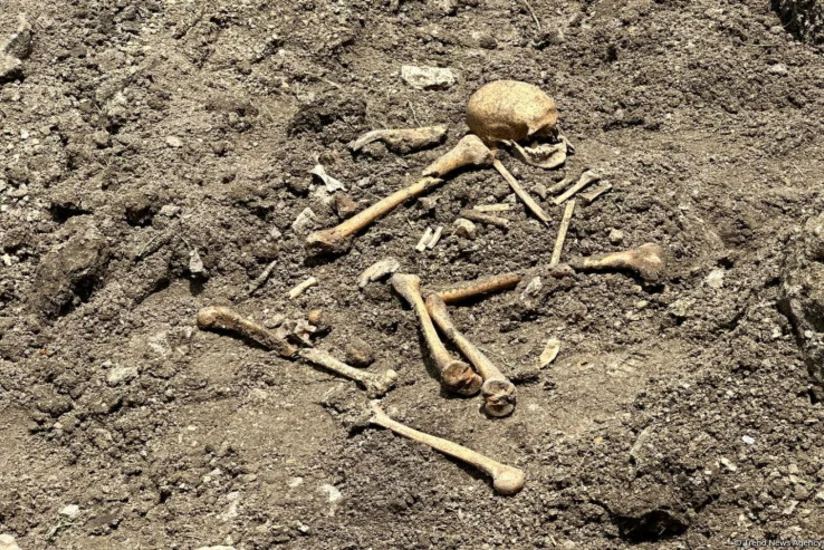 Ağdamda qazıntı zamanı insan skeletinə bənzər qalıqlar aşkarlanıb